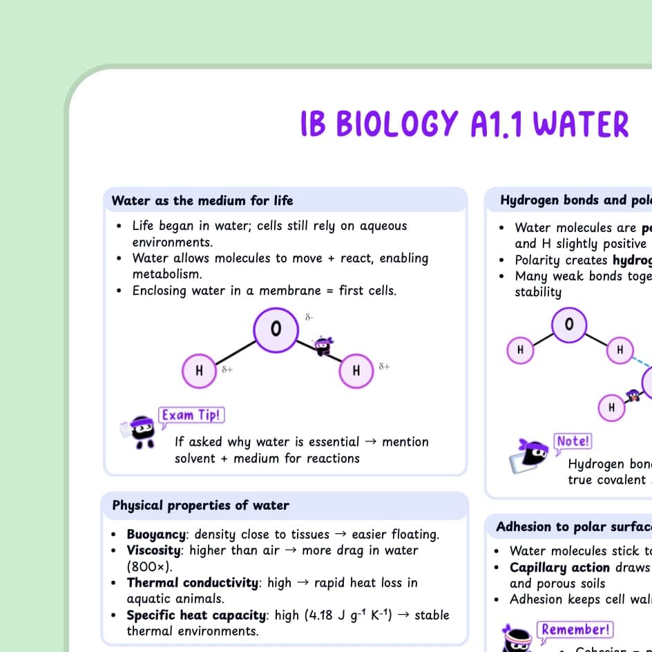 Expert-written cheatsheets